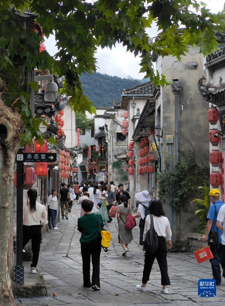 全鲨银鲨下载
